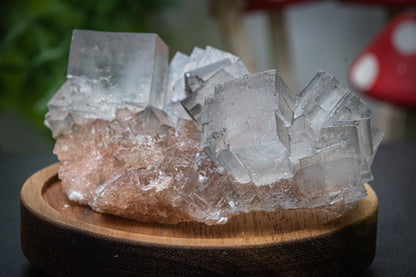 Halite salt crystal clusters