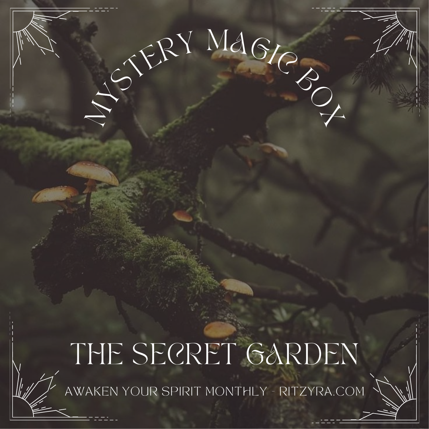 Monthly (JULY's 🧡) mystery magic box - *Please read FULL description