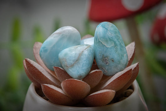 Larimar AA grade tumblestone