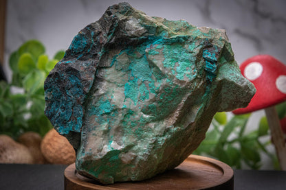 Quantum Quattro raw chunk