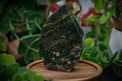 Ocean Jasper arrowhead