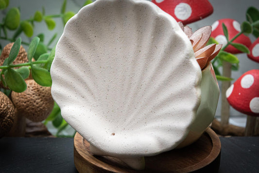 Shell incense holder