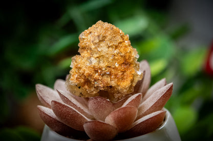 Golden Fluorite with Galena specimen