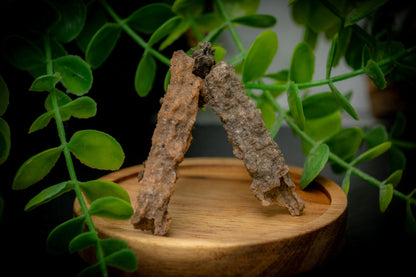 Fulgurite specimen - Lightening in solid form