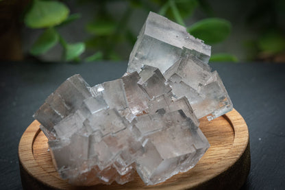 Halite salt crystal clusters