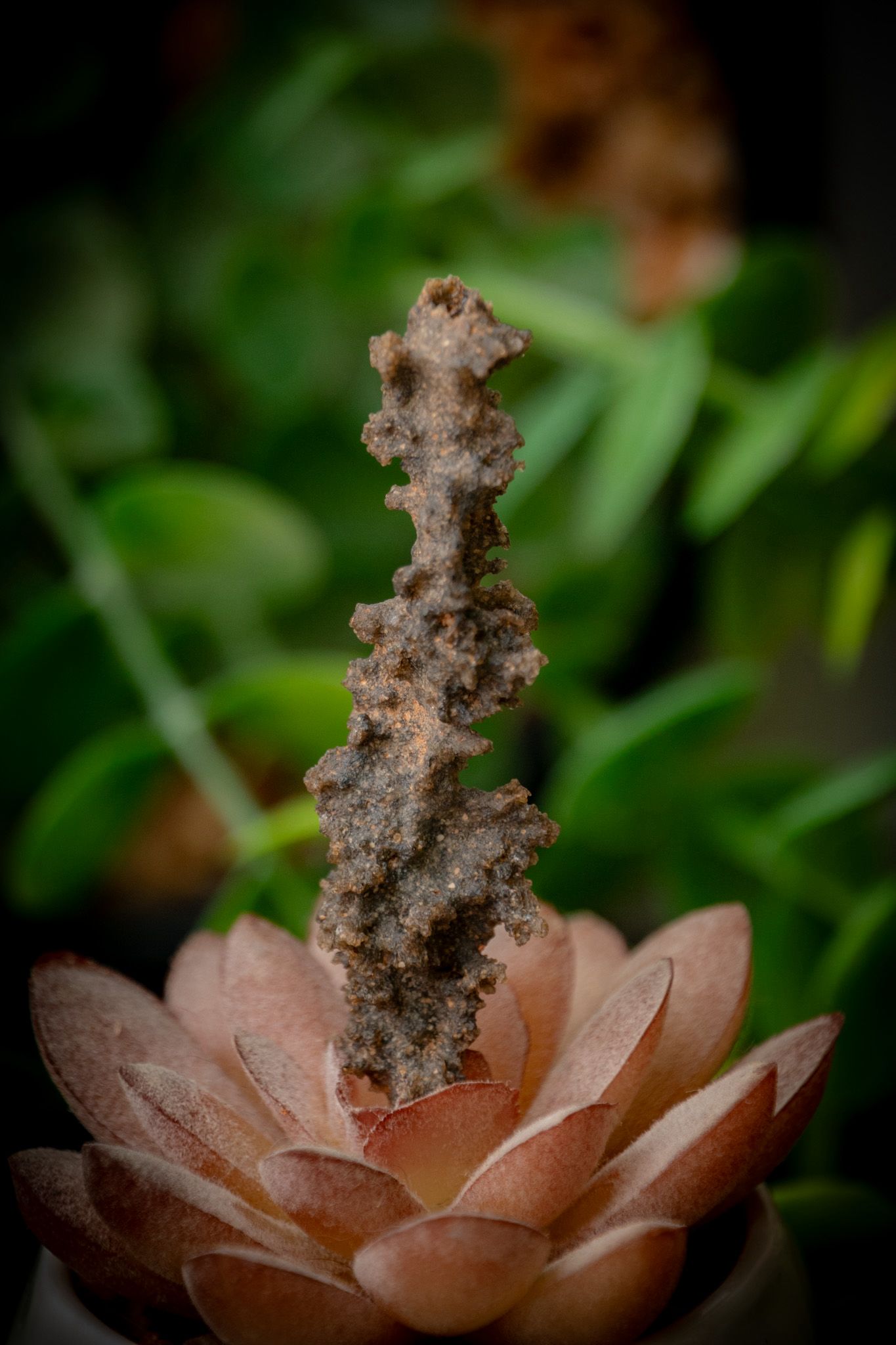 Fulgurite specimen - Lightening in solid form