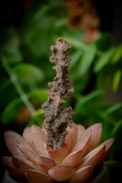 Fulgurite specimen - Lightening in solid form