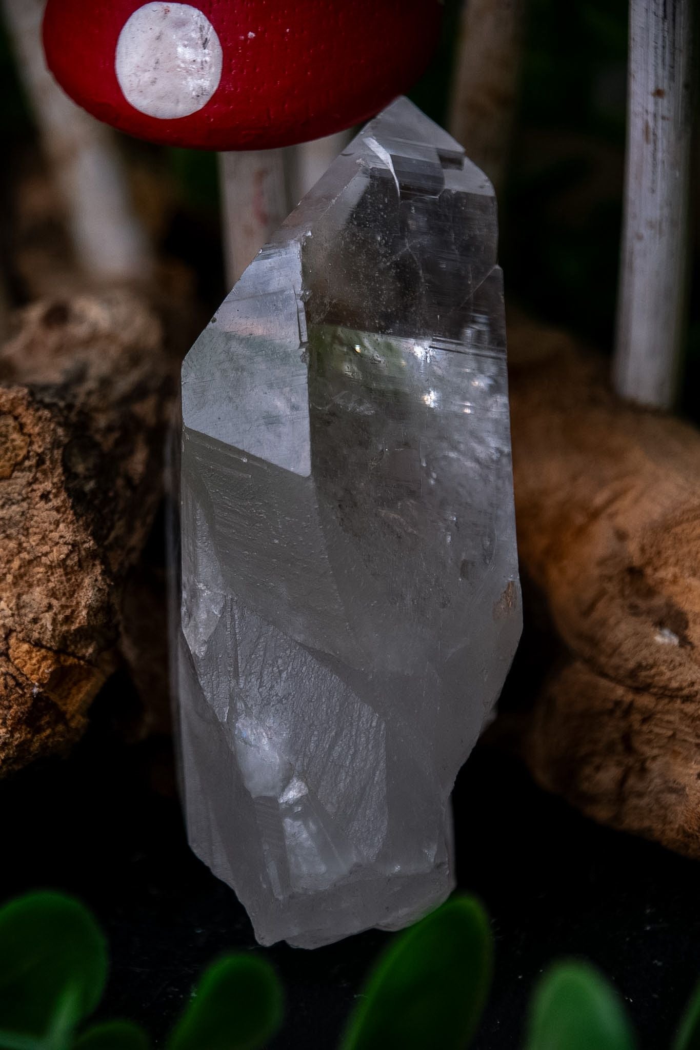 Raw himalayan quartz crystals points
