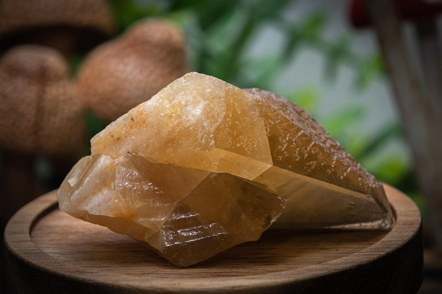 Golden dogtooth calcite