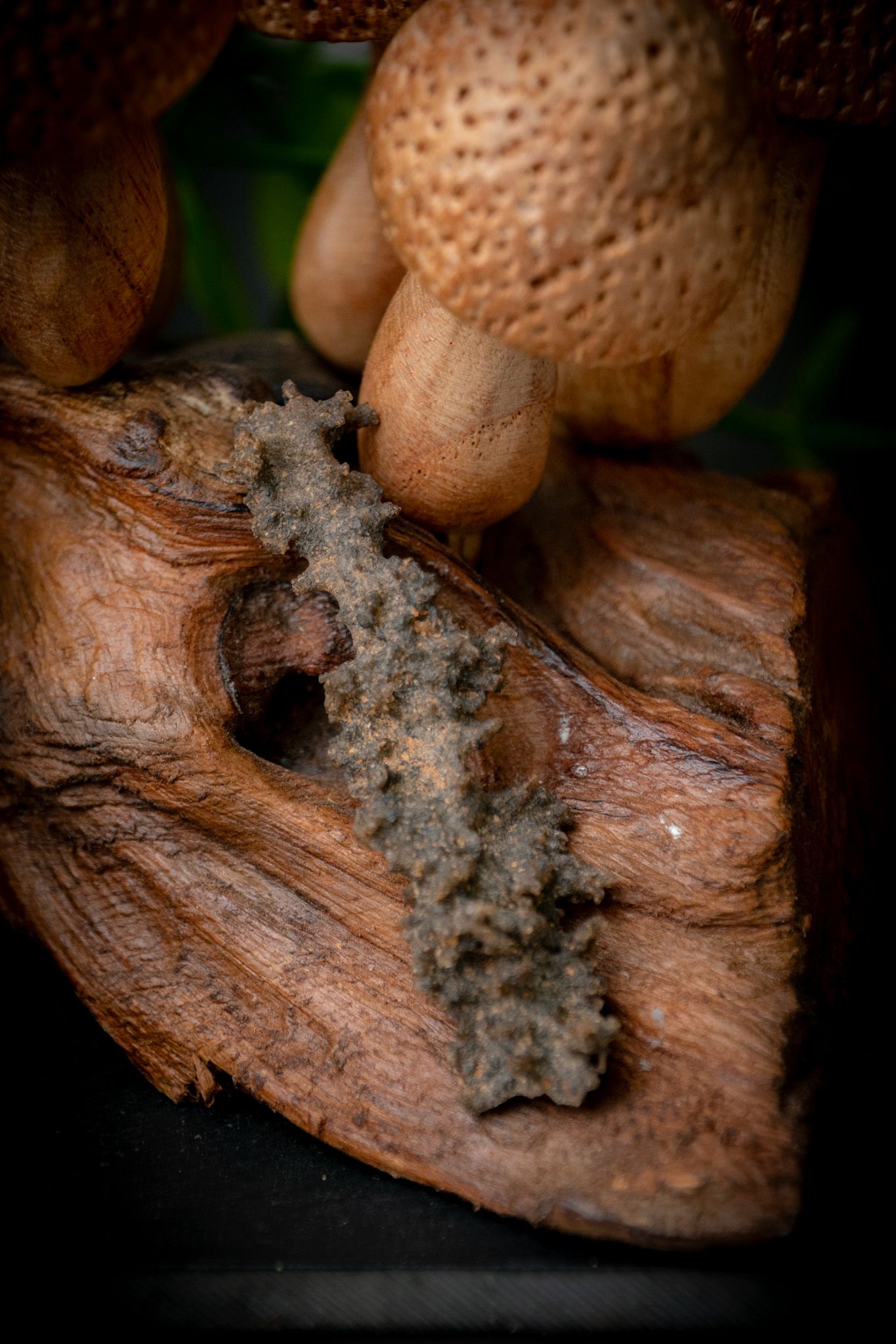 Fulgurite specimen - Lightening in solid form