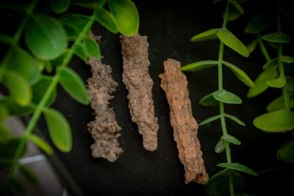 Fulgurite specimen - Lightening in solid form