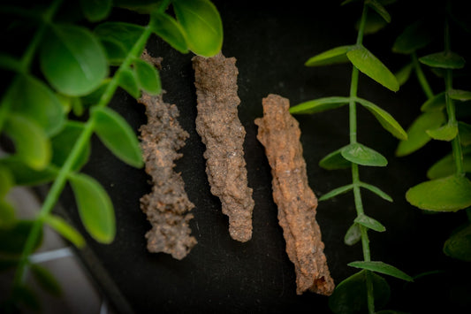 Fulgurite specimen - Lightening in solid form