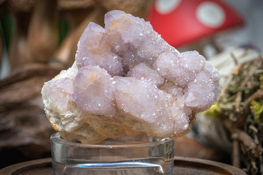 Spirit (cactus) amethyst clusters
