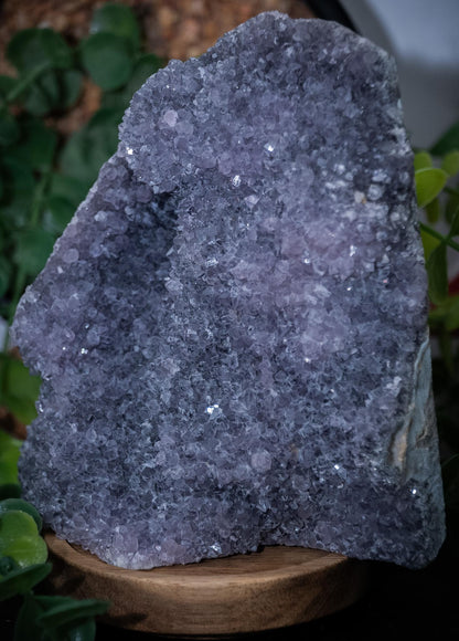 Amethyst druzy freeform - 1.544kg