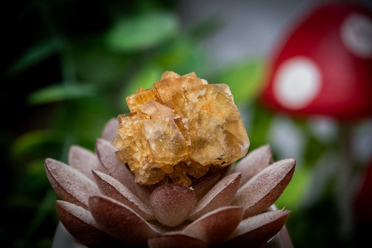 Golden Fluorite with Galena specimen