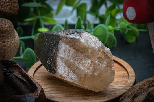 Golden dogtooth calcite