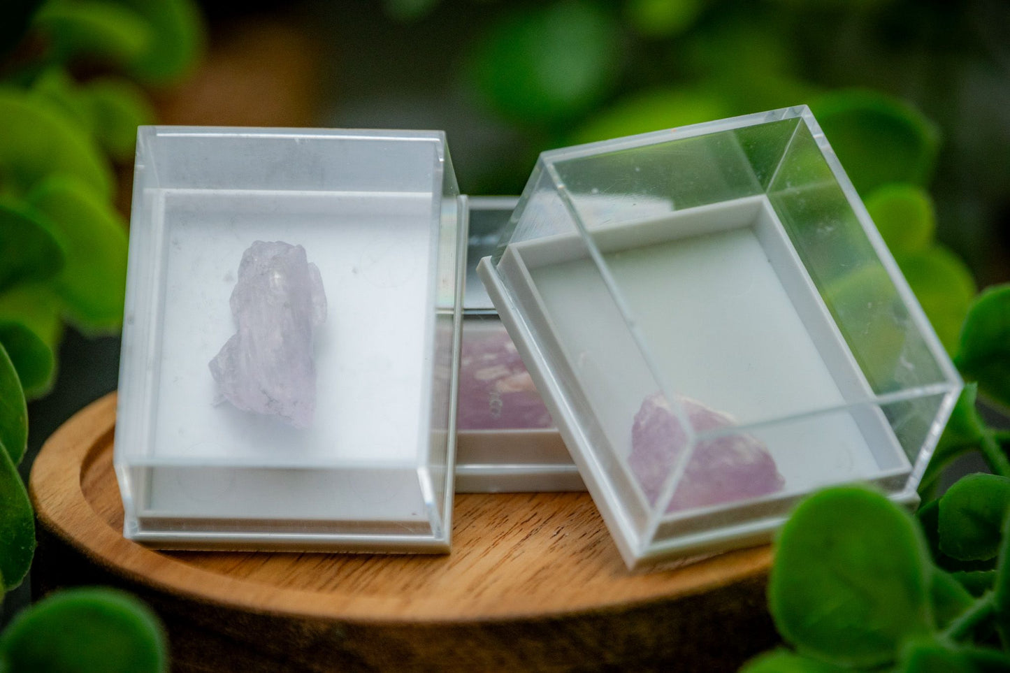 Kunzite specimen in display case