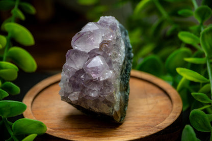 Small amethyst druzy
