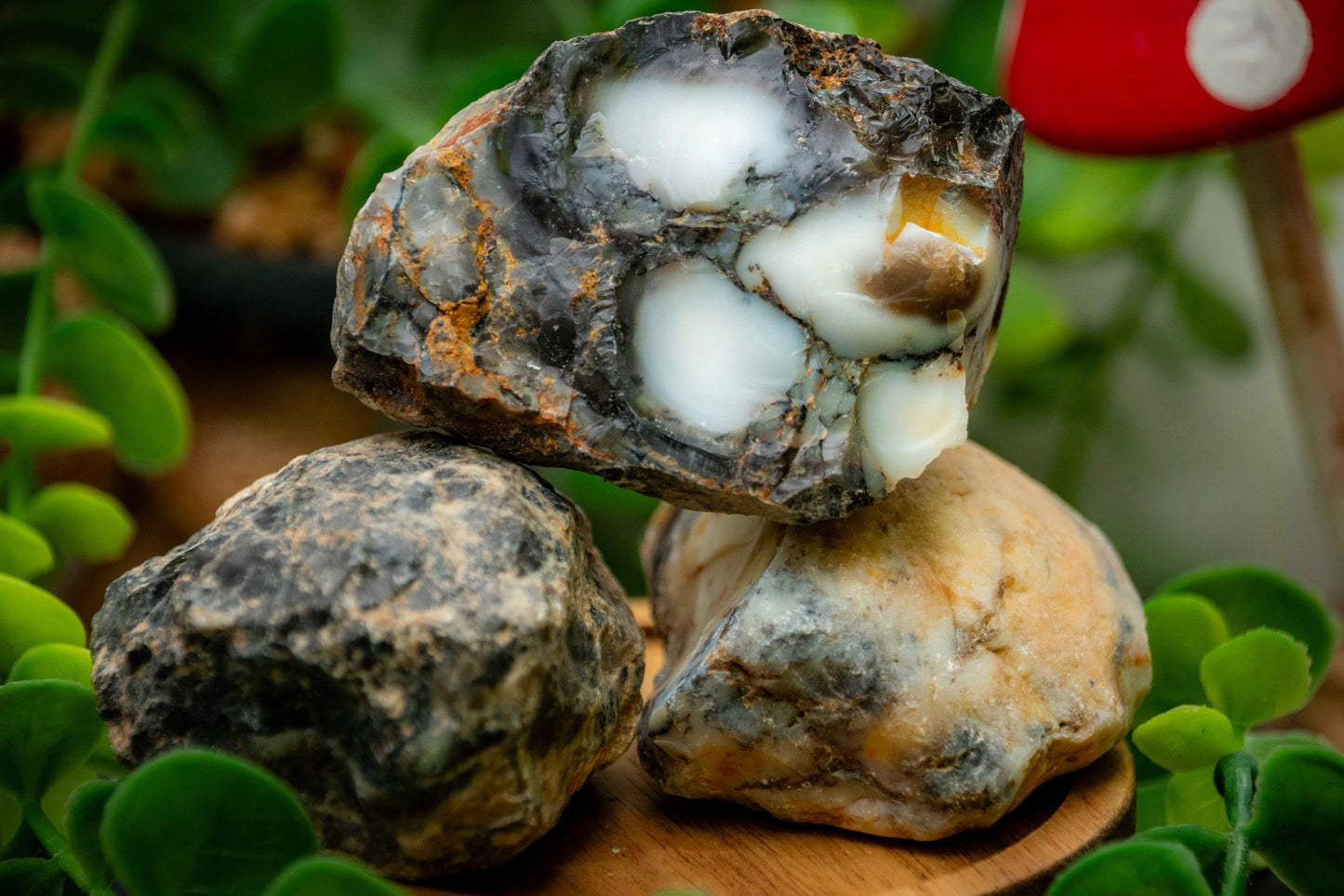 Rough Dendritic Agate