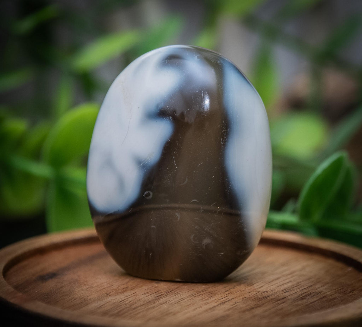 Mini orca agate freeform
