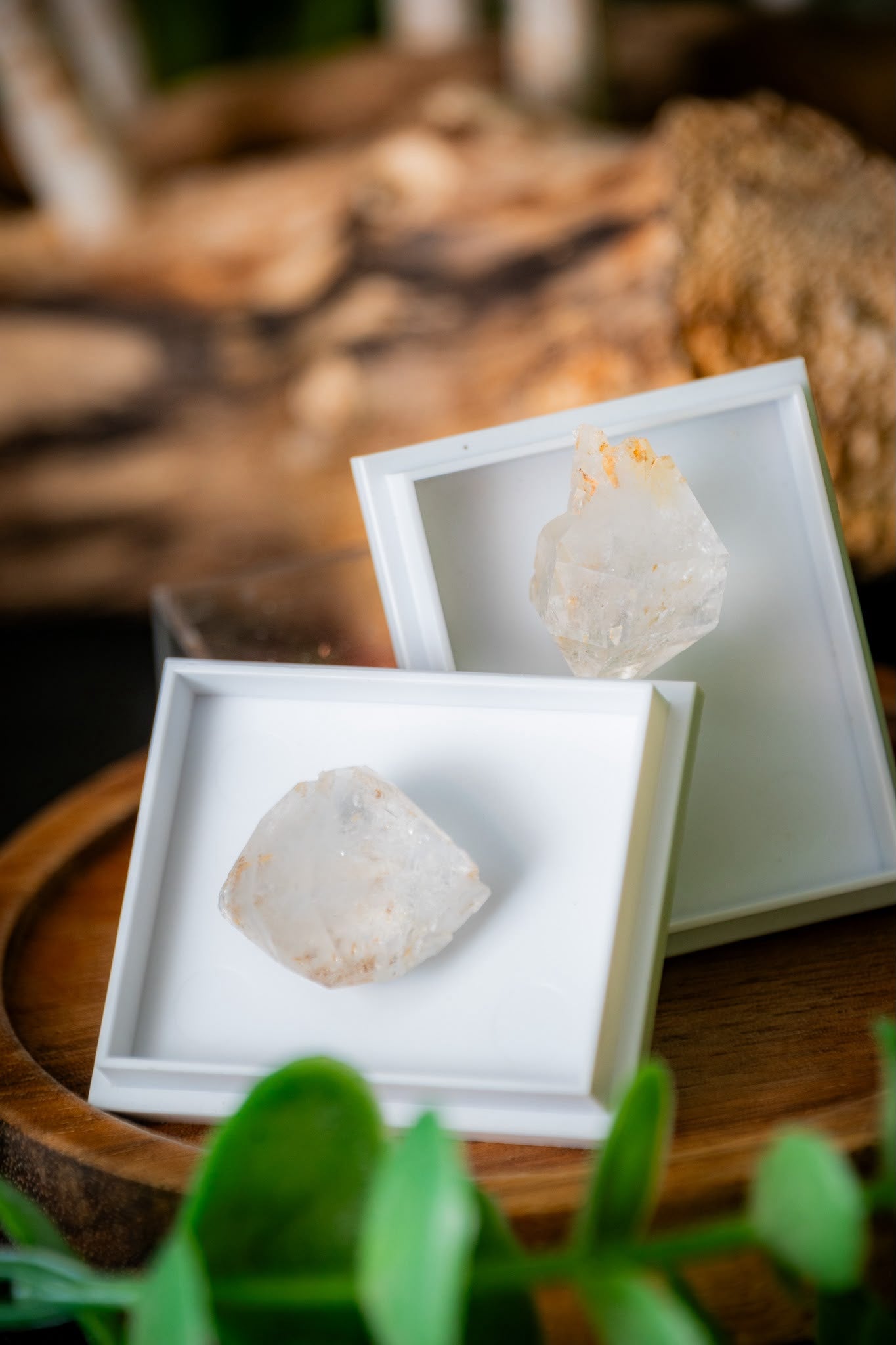 Atlas diamonds double terminated quartz points in display case