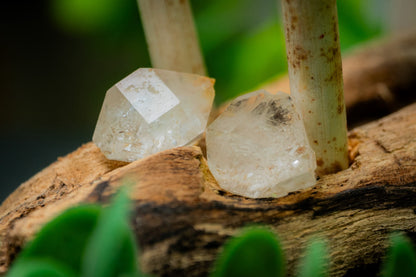 Atlas diamonds double terminated quartz points in display case