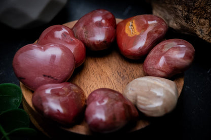 Fossil wood (petrified wood) heart carvings