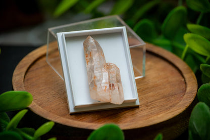 Madagascar Petroleum Window Quartz Uv - Firefly Quartz Crystal Points