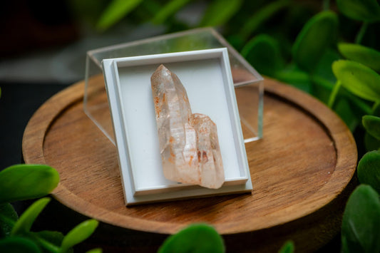 Madagascar Petroleum Window Quartz Uv - Firefly Quartz Crystal Points