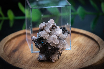 Rose petal Calcite on hematite specimen in display case