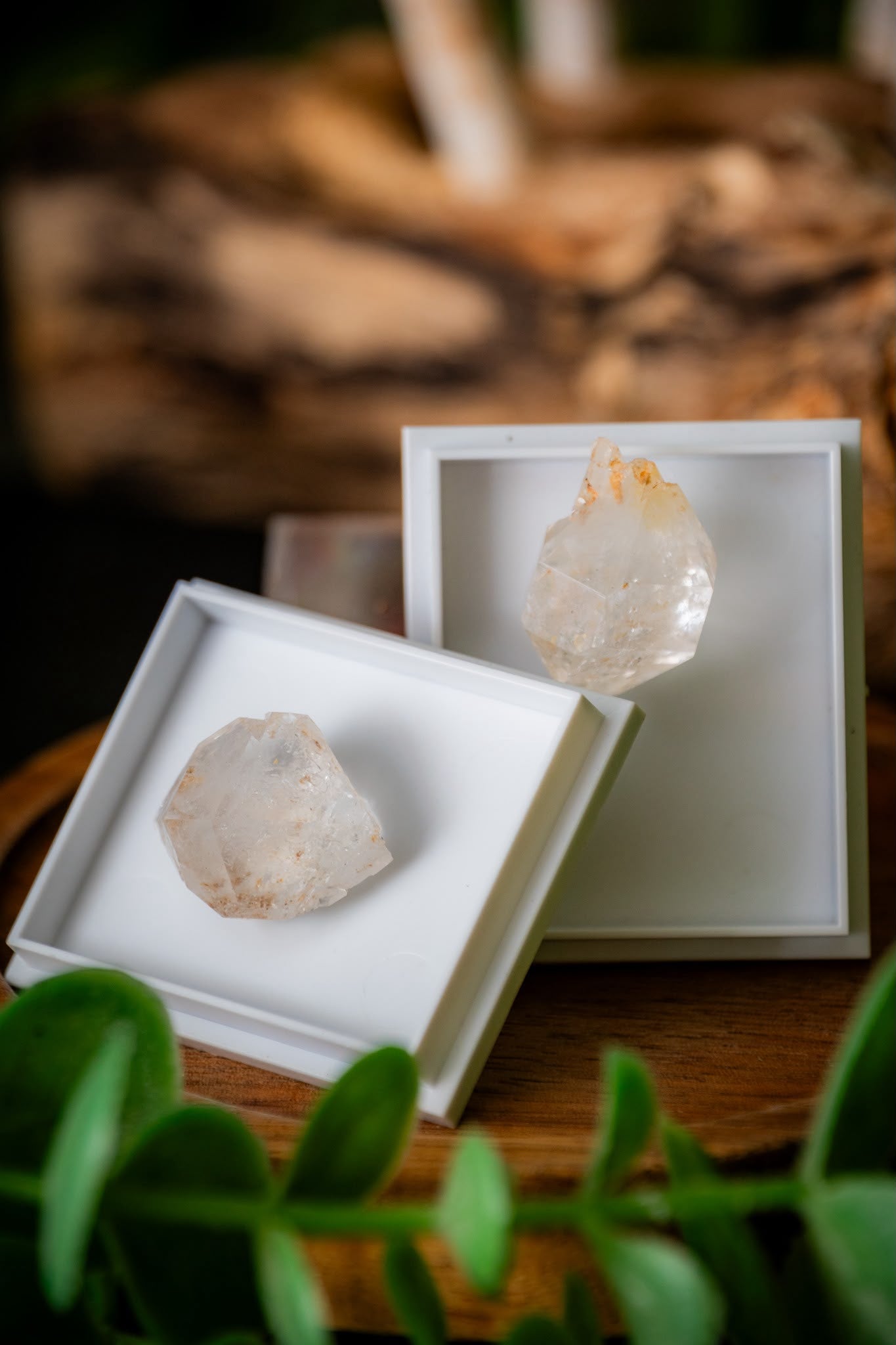 Atlas diamonds double terminated quartz points in display case