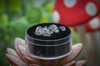 Herkimer diamond (A grade) in display pot