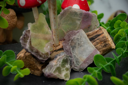 Lepidolite and Muscovite slices.