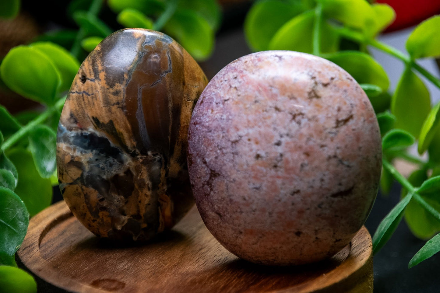 Mini Ocean Jasper crystal freeforms