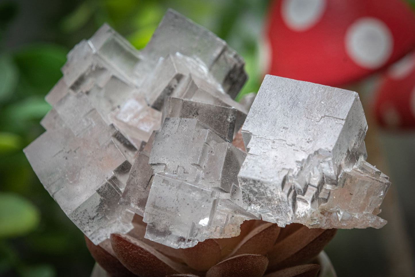 Halite salt crystal clusters