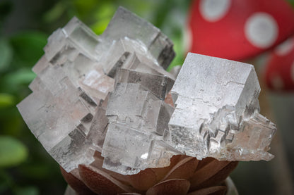 Halite salt crystal clusters
