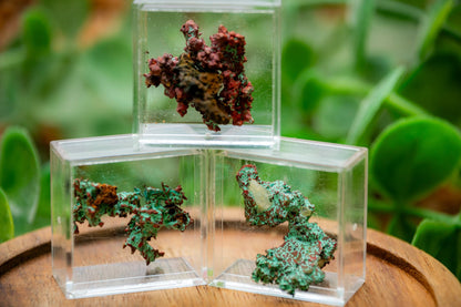 Small Native Copper Malachite Specimen