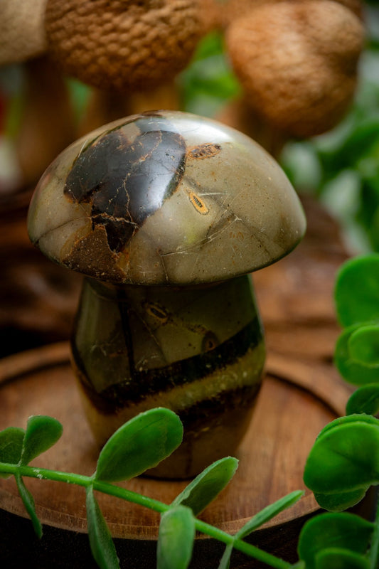 Septarian crystal mushroom carving